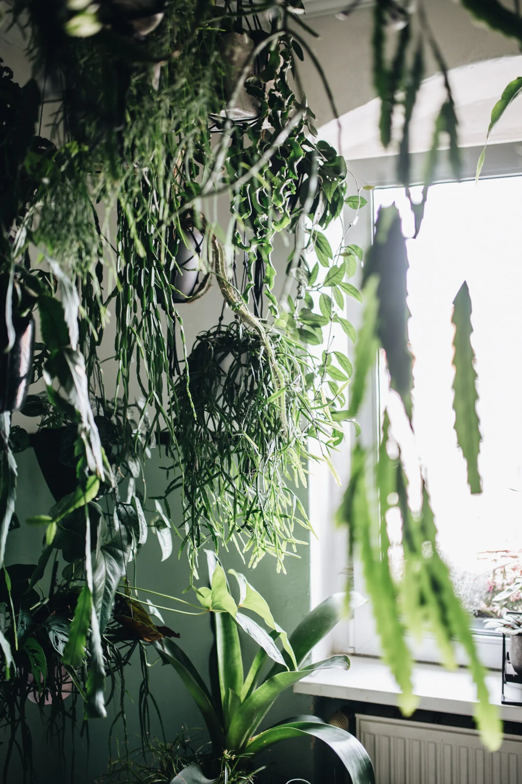 Zu Besuch bei Mike Klar