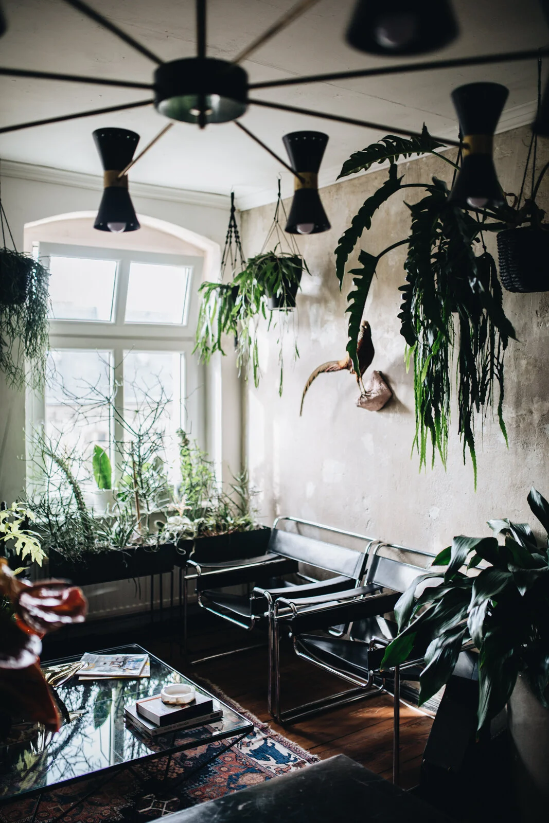 Zu Besuch bei Mike Klar