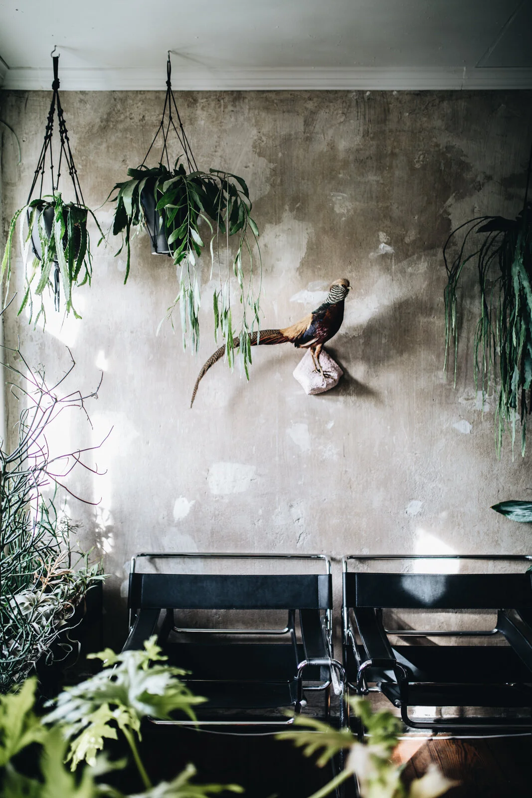 Zu Besuch bei Mike Klar