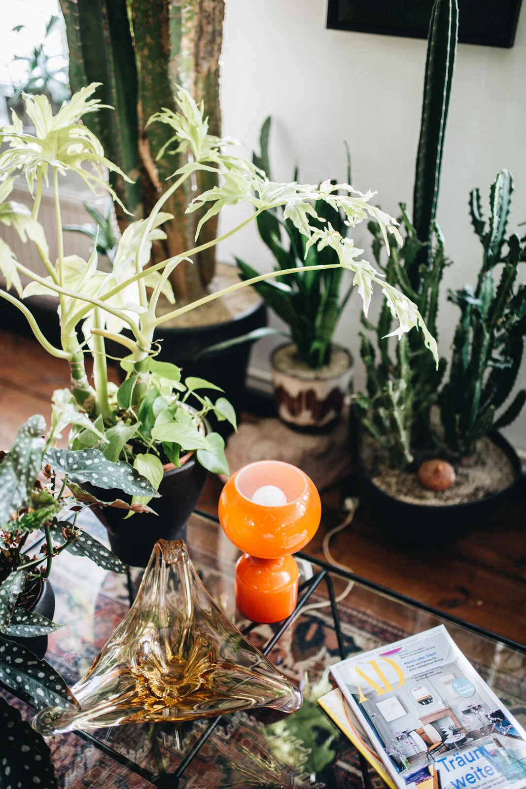 Zu Besuch bei Mike Klar