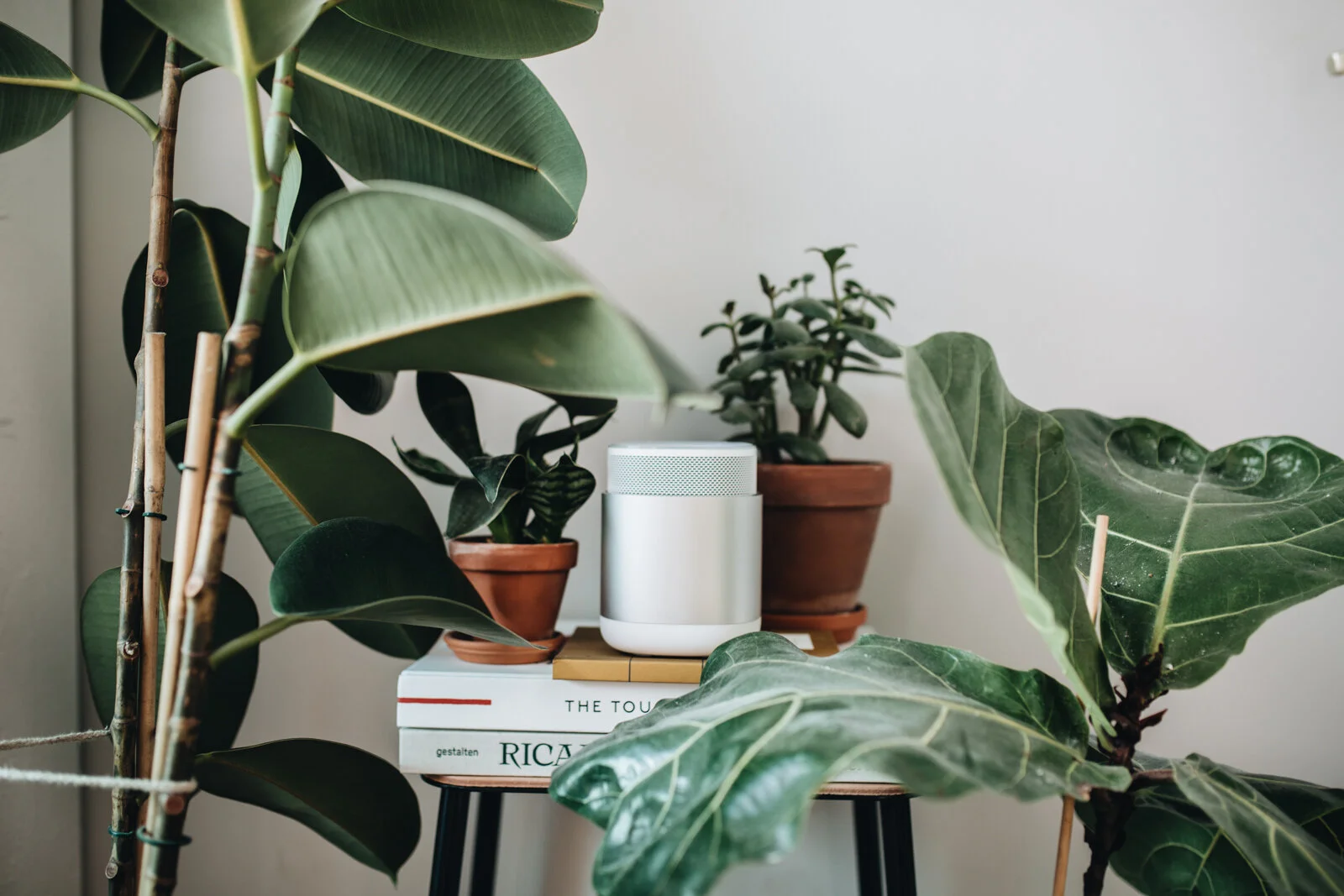 DiscovR (21 von 24).jpg