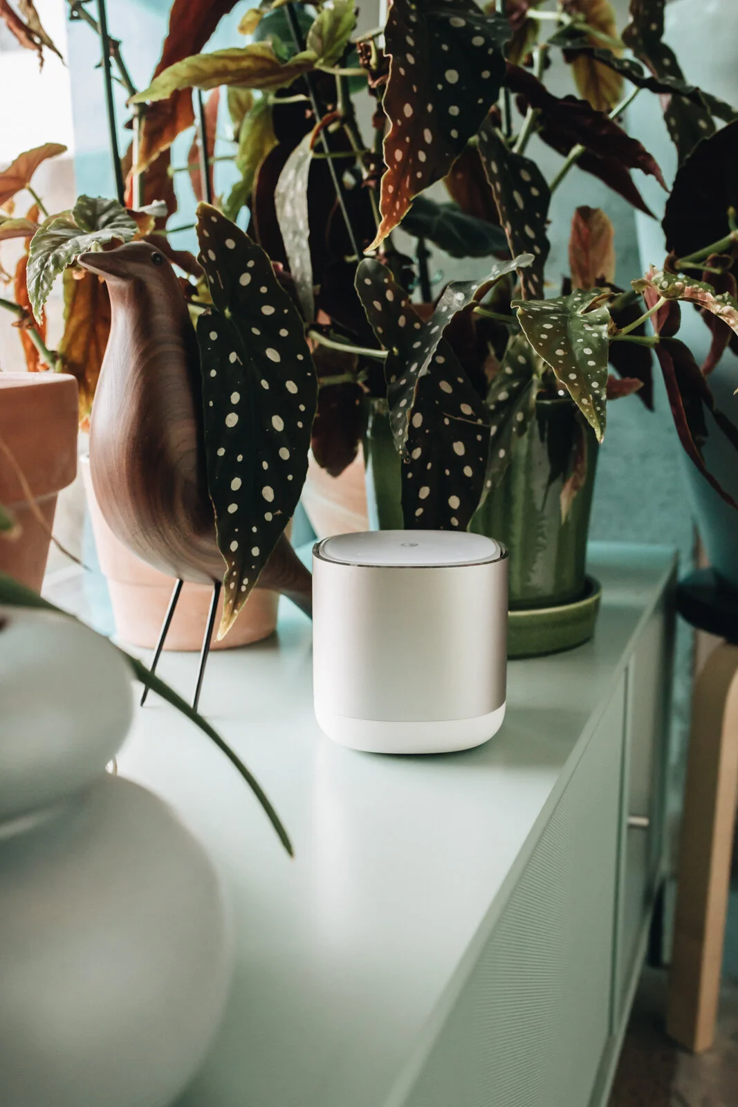 Pure DiscovR im Mic Drop Modus