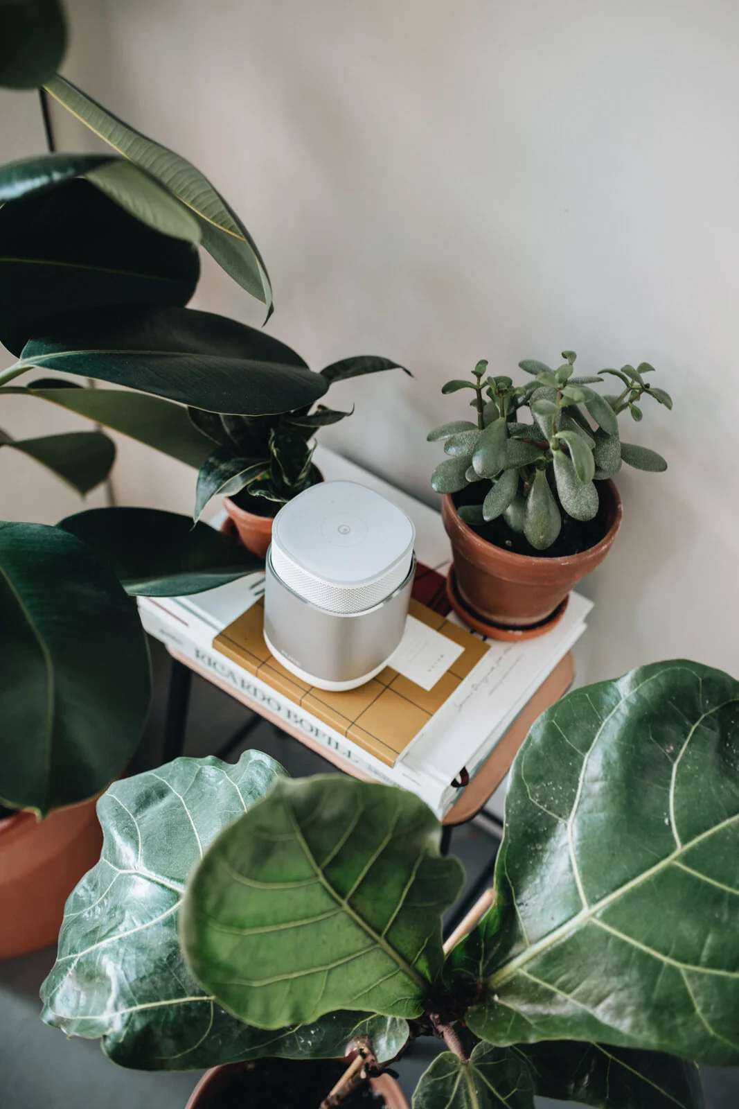 Pure DiscovR x Herz&Blut