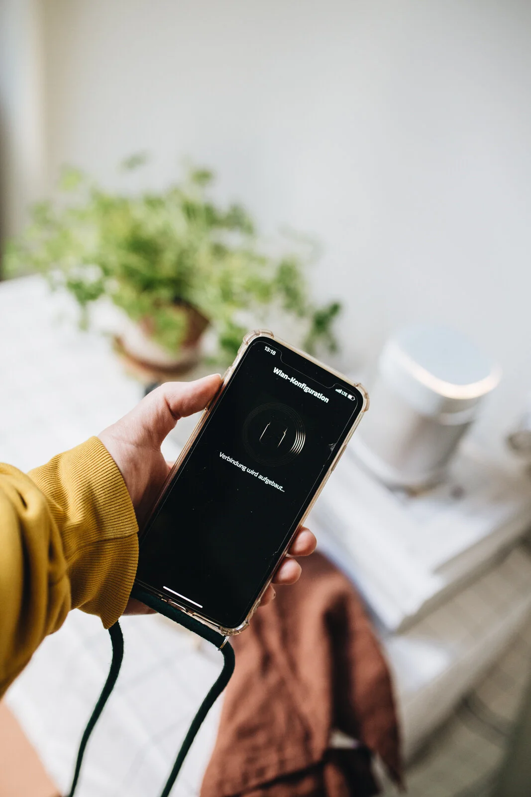 Pure DiscovR x Herz&Blut