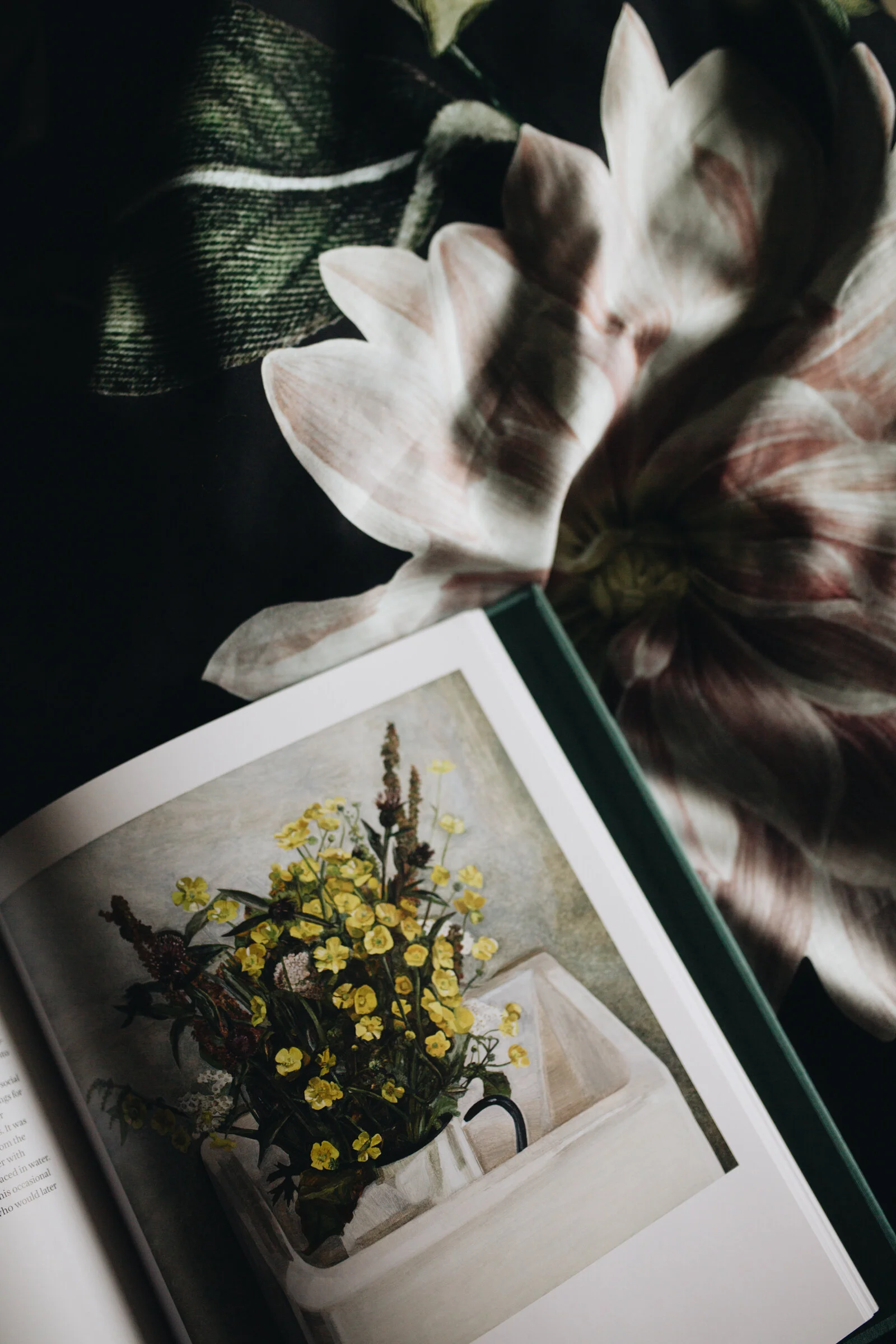 Im Blumenrausch mit ESSENZA-Bettwäsche