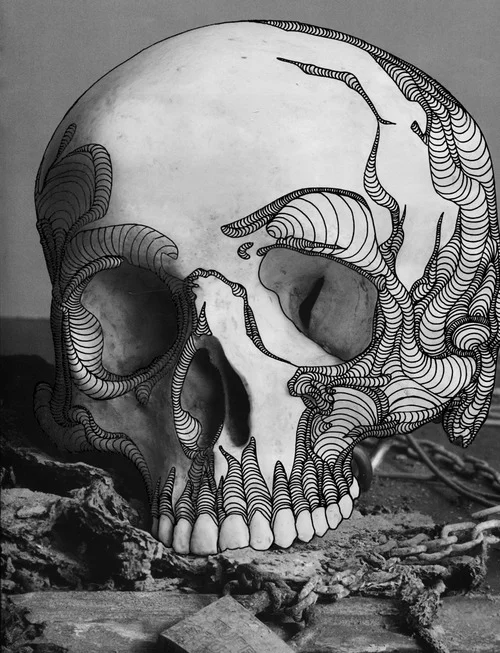 tumblr_n2jq7oAI5j1qa4iv8o5_500.jpg