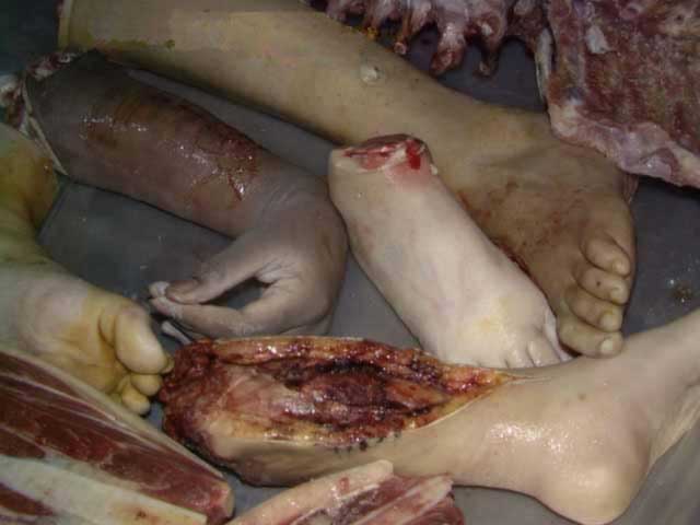 tumblr_lv9zf5FrcD1qk38c7o3_1280.jpg