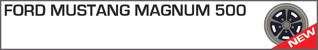 FORD MUSTANG MAGNUM 500 b.jpg