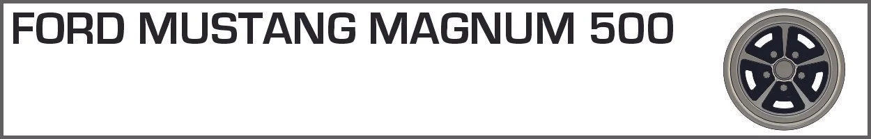 FORD MUSTANG MAGNUM 500.jpg