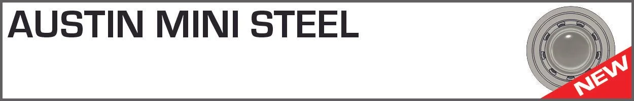 AUSTIN MINI STEEL b.jpg