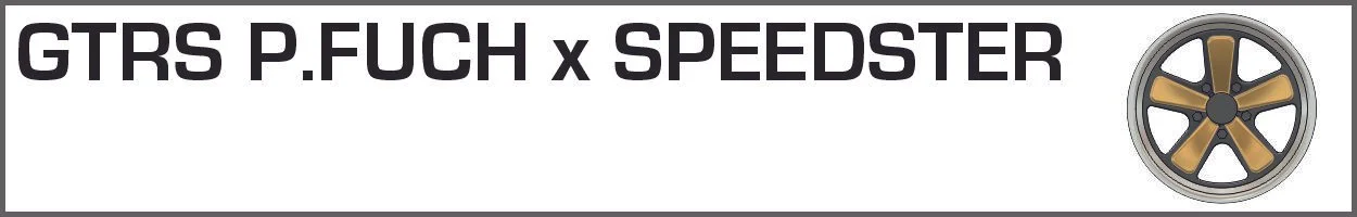 GTRS P.FUCH x SPEEDSTER.jpg
