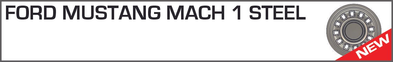 FORD MUSTANG MACH 1 STEEL b.jpg