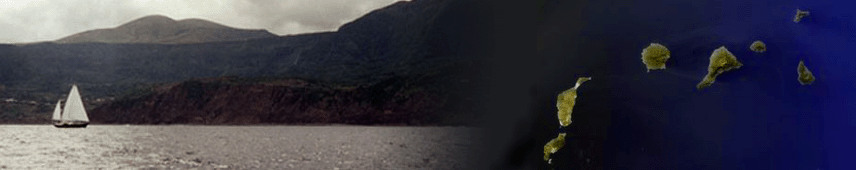 top bar.gif