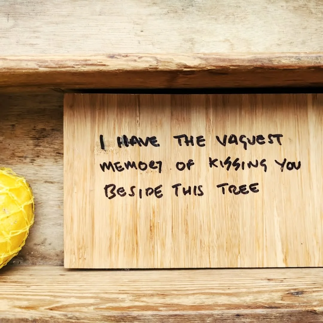 Afternoon Music by Tom Harding available to preorder Palewell Press. #afternoonmusic #poems #poetry #instagrampoets #summer #art #illustration #leonardcohen #franko'hara #poetrycommunity #poetryisnotdead #poetryofinstagram #poetryporn #poetryofig #po