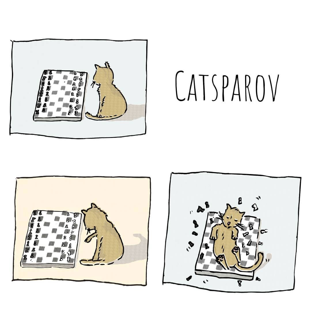 Catsparov #cats #cat #catlovers #caturday #instagram #catsofinstagram #cartoon #garfield #illustration #comicstrip #comics #webcomics #funny #funnycats #cathumor