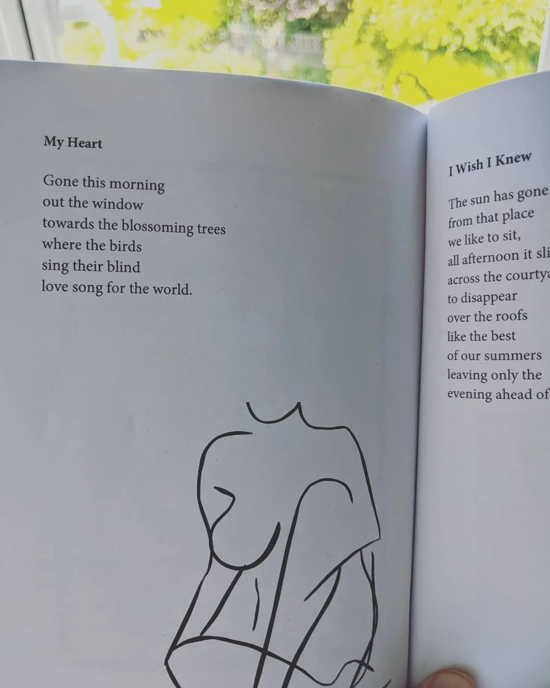 Afternoon Music by Tom Harding  #afternoonmusic #poems #poetry #instagrampoets #summer #art #illustration #leonardcohen #franko'hara #poetrycommunity #poetryisnotdead #poetryofinstagram #poetryporn #poetryofig #poetryinmotion #poetrygram #poetrysocie