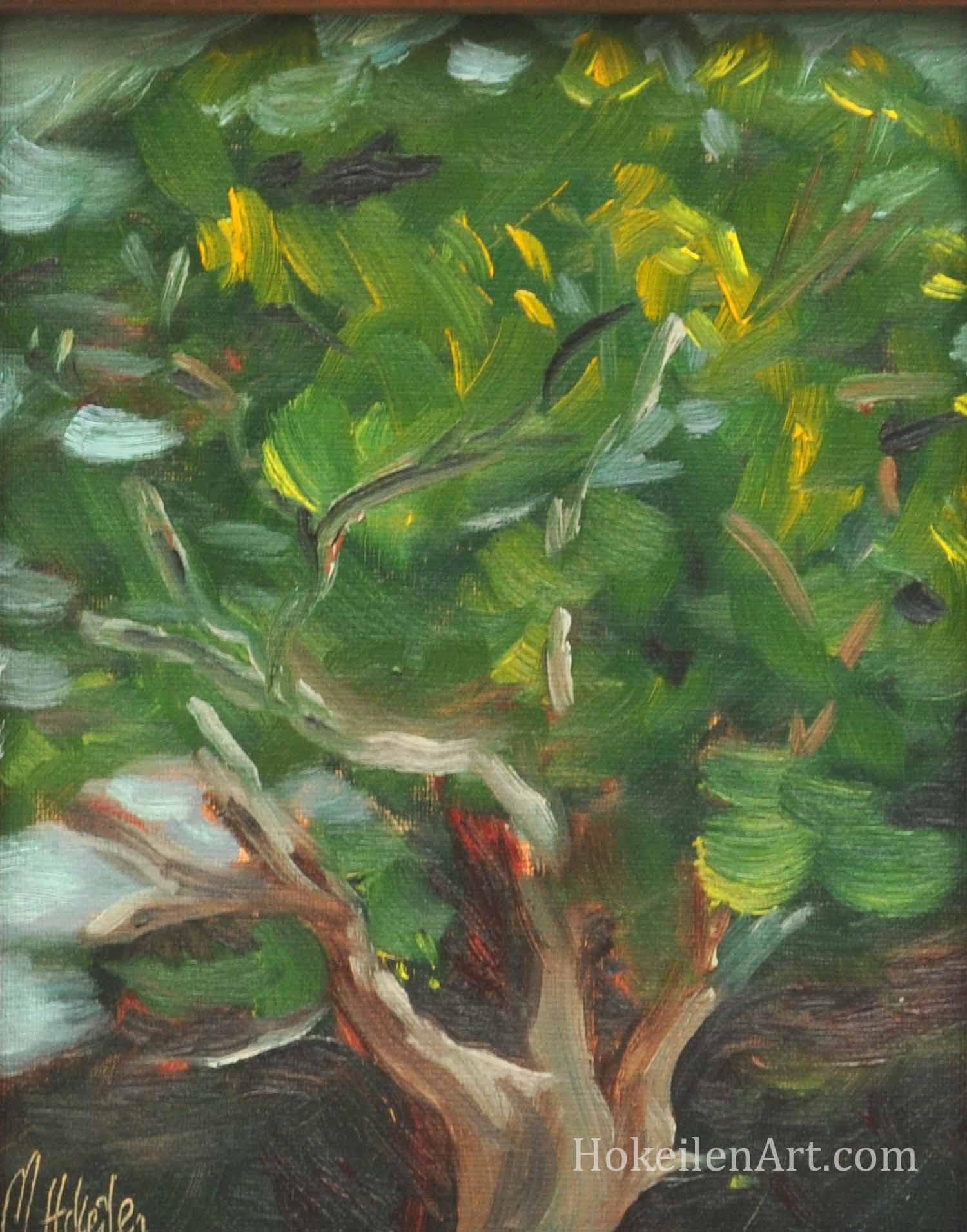 Big Tree at River Farm, oil on canvas board, 6"x8"
