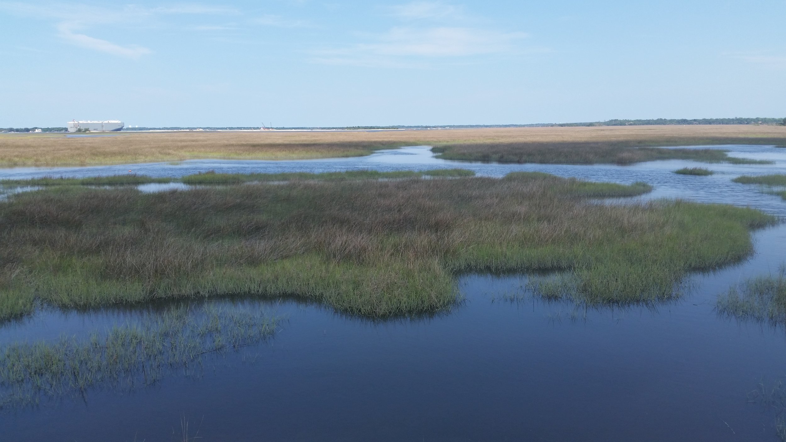 I love the flow of water and marsh grasses in Jacksonville's coastal wetland areas. I can't wait to paint some of these!