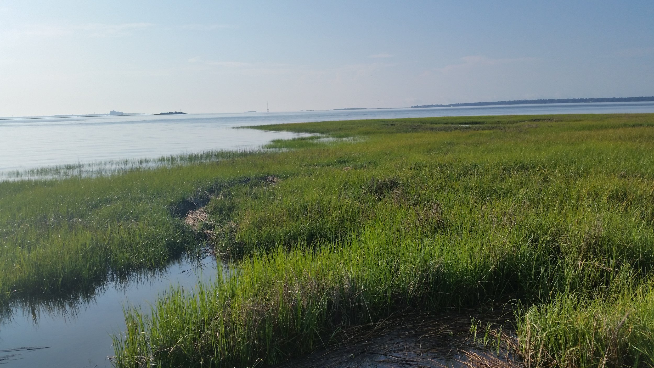 More marshy grass and coastline, so calming and beautiful.