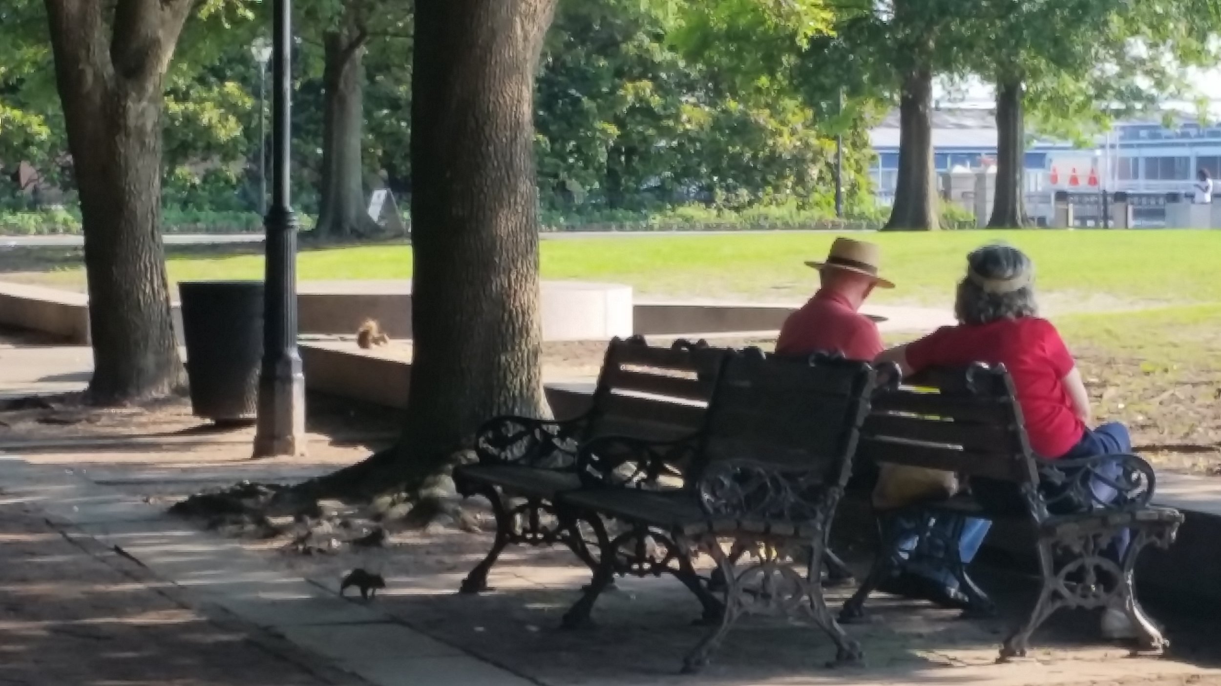 A couple on a bench. I tried really hard not to be a creepy person taking picture of other people, but sometimes I couldn't help myself. I was discrete, though.