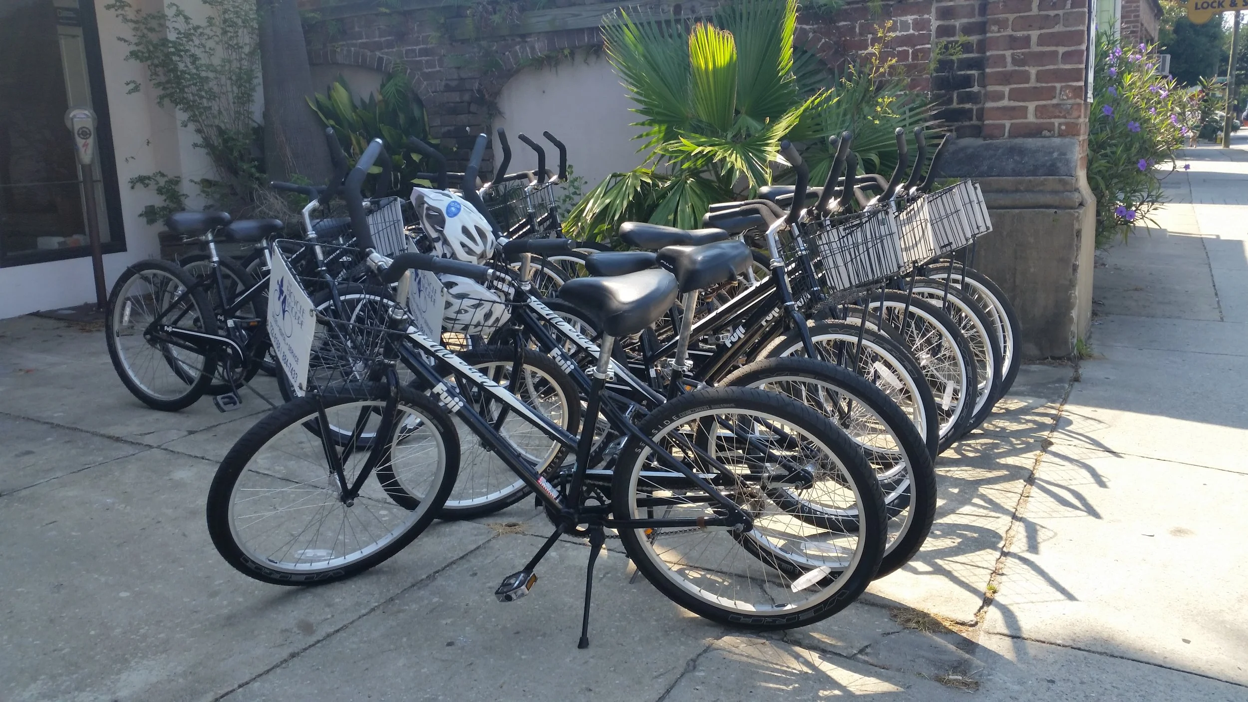 Even a row of bicycles for rent became a source of inspiration for me.