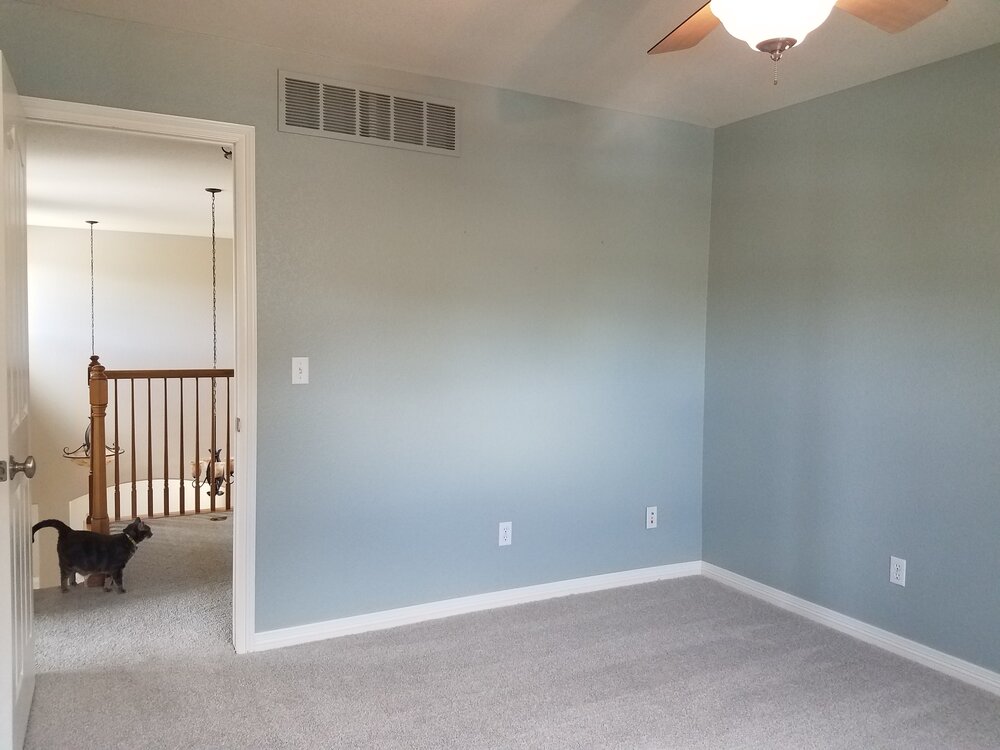 new studio with carpet and blue walls.jpg