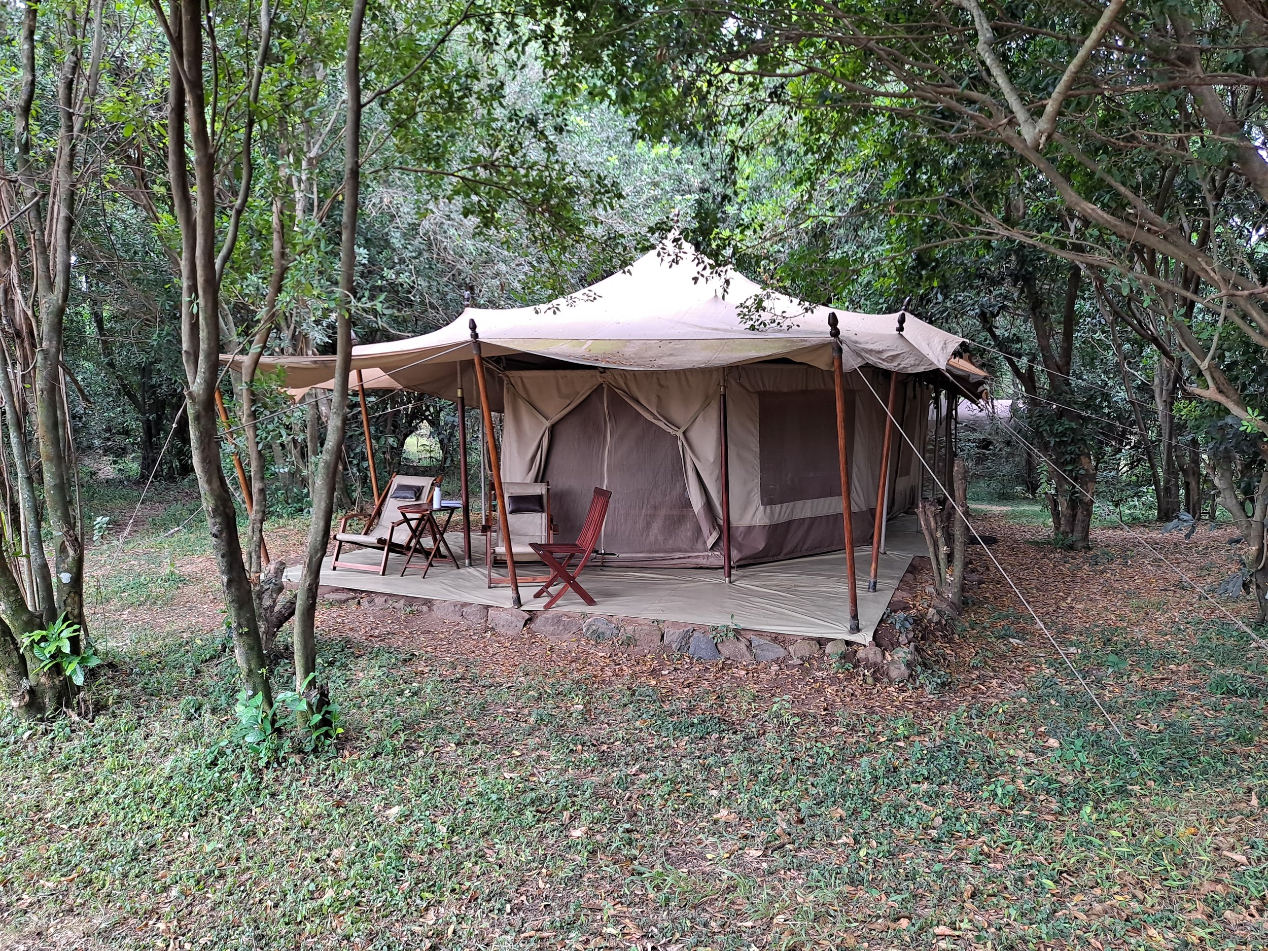 Sentinel Safari Tent