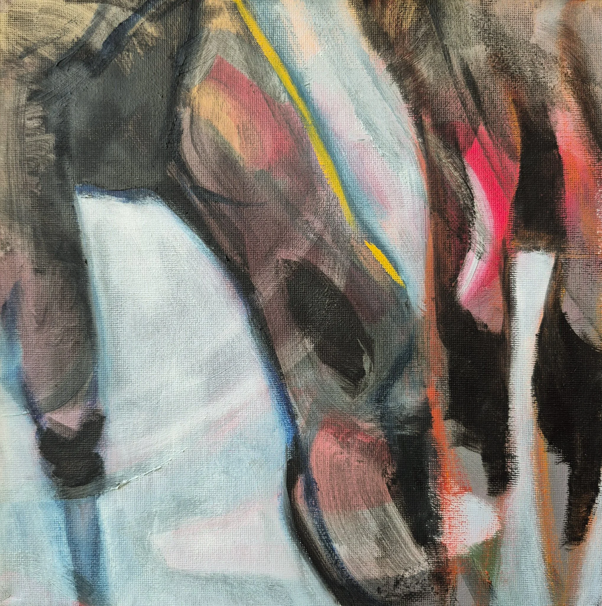 Topi Herd 3