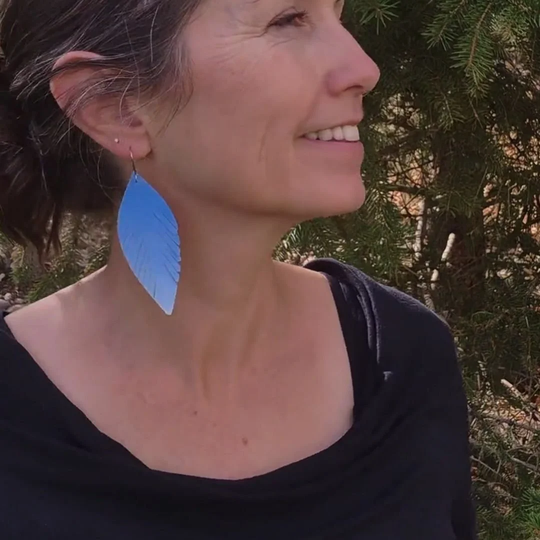 mountainbluebird-wearing.jpg