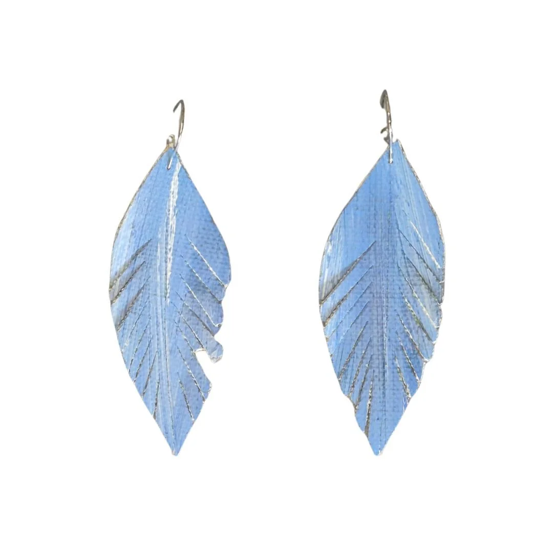ScrubJay.jpg