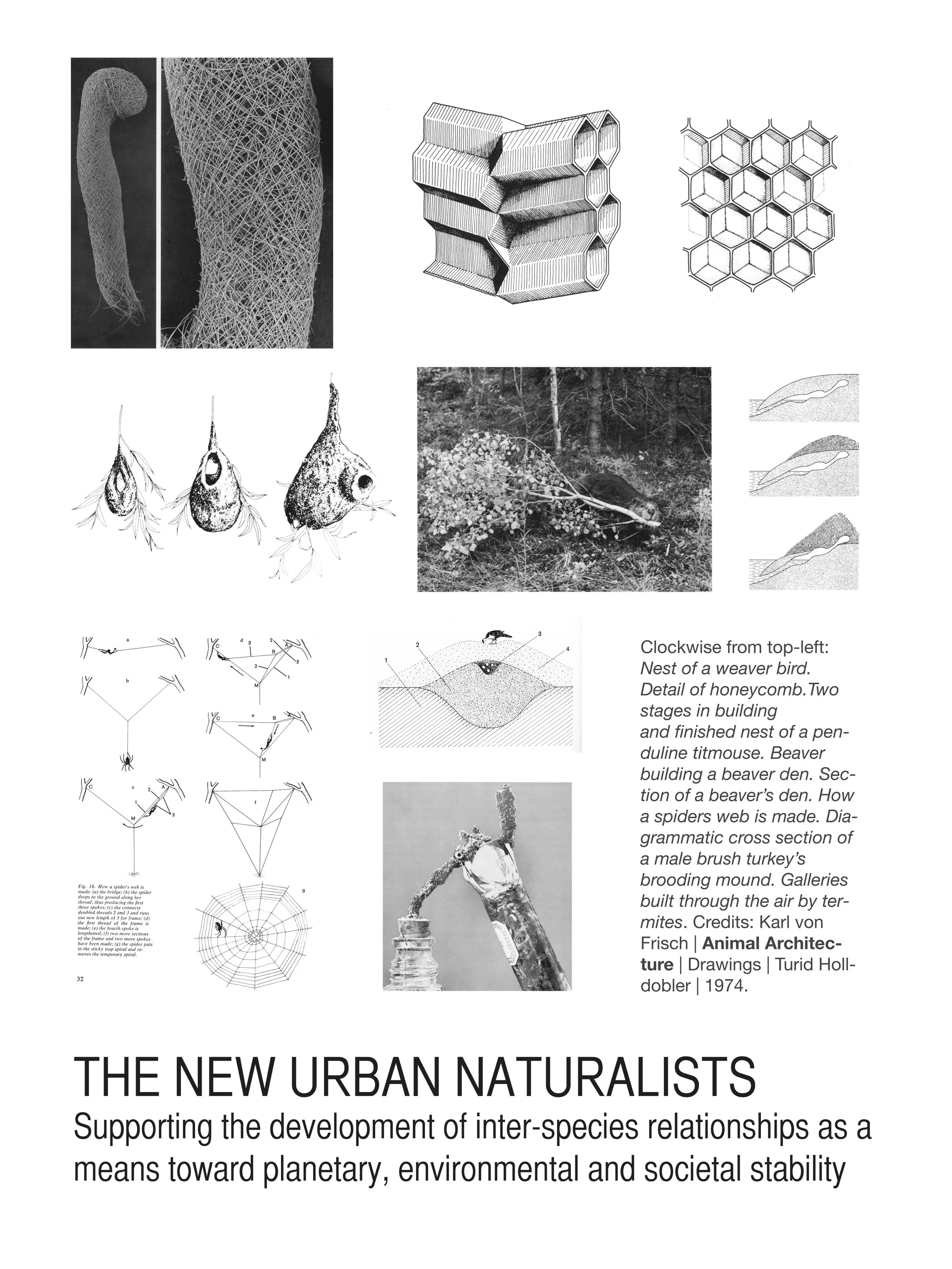 The New Urban Naturalists, 2013. Promotional poster. 18x24 inches.