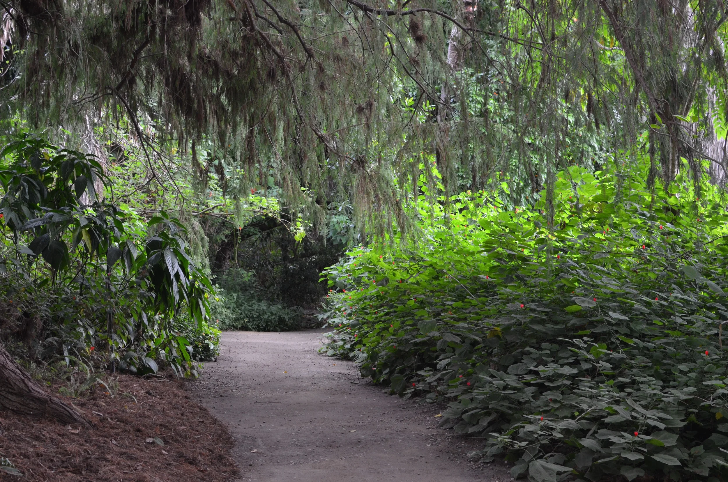 LA County Arboretum