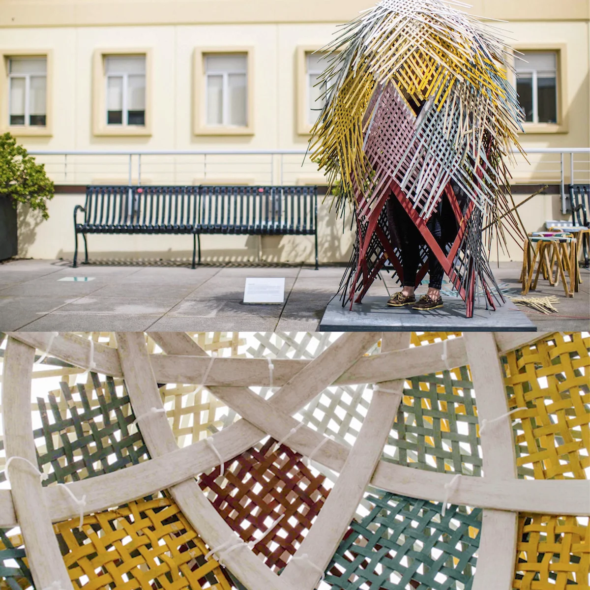 Pinophyta II , 2015. Wood, milk paint, waxed linen, zip-ties. 6’ x 3’ x 3.’ Commissioned by the University of San Francisco, part of a 10 month outdoor exhibition. Illustrating the Fibonacci sequence found in the pine cone of the conifer, Pinophyta 2 was allowed to loose it’s fronds over the course of the exhibition, revealing an underlying mathematic structure.