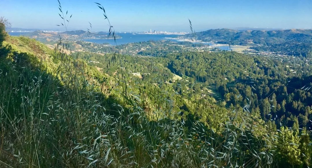 View from Blithedale Ridge