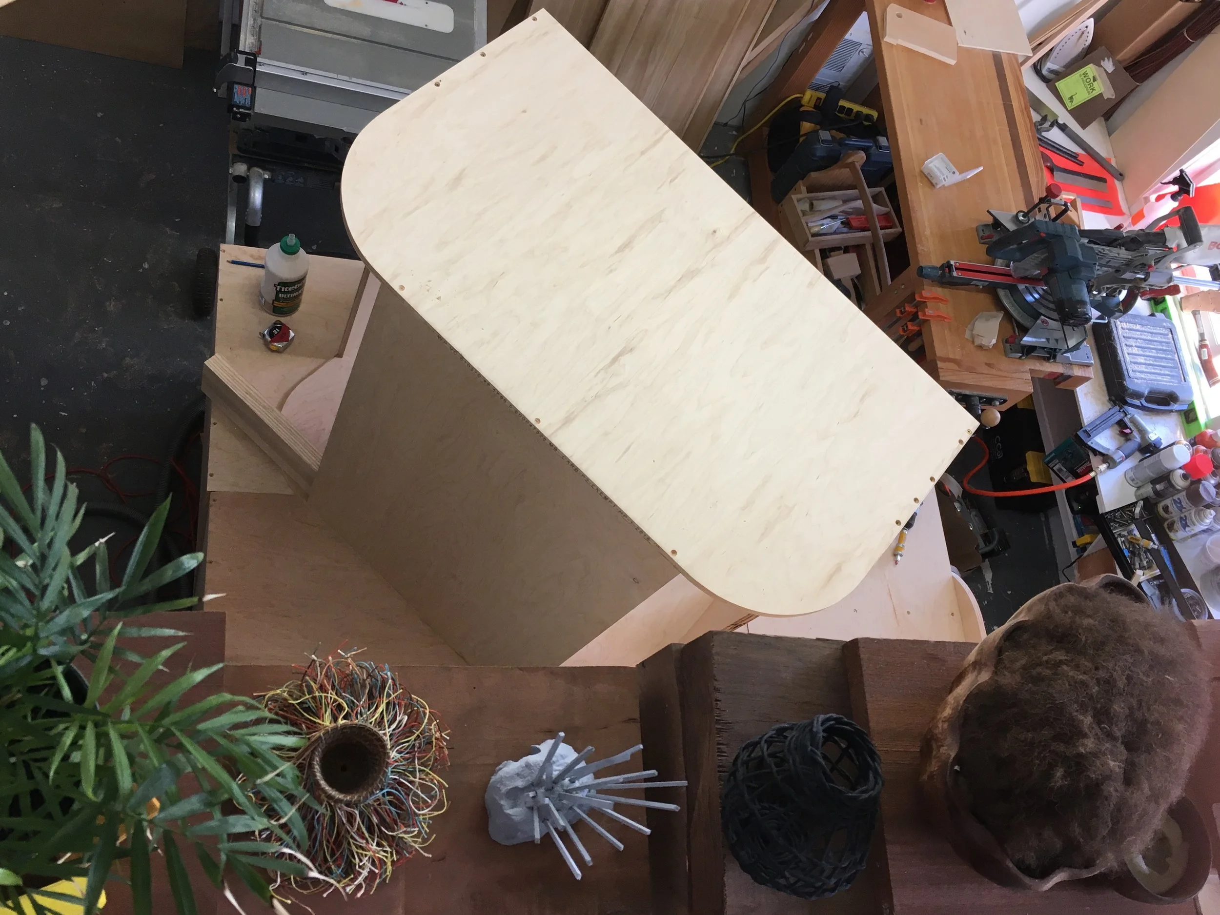 My studio is chock full of things, growing.