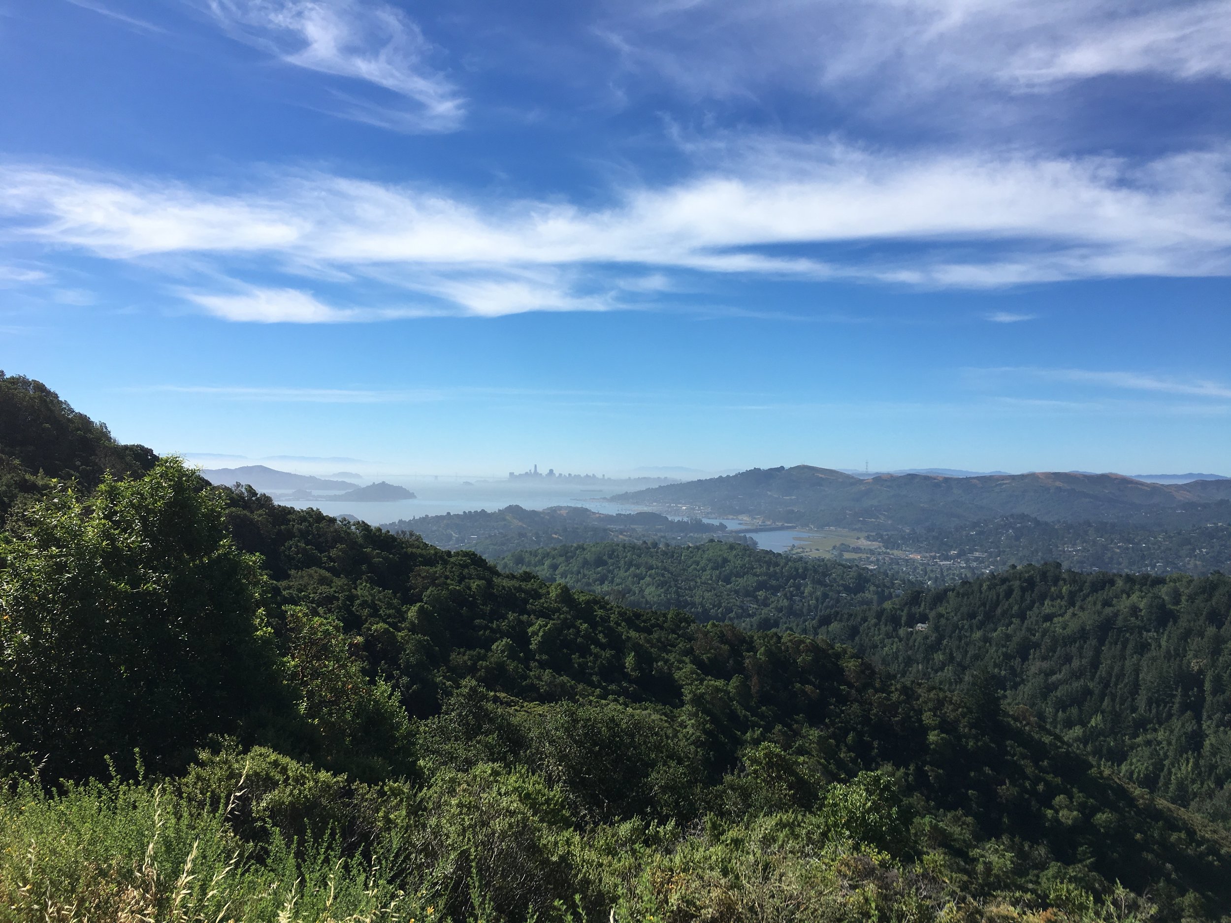 Current favorite running place, Blithedale Ridge!