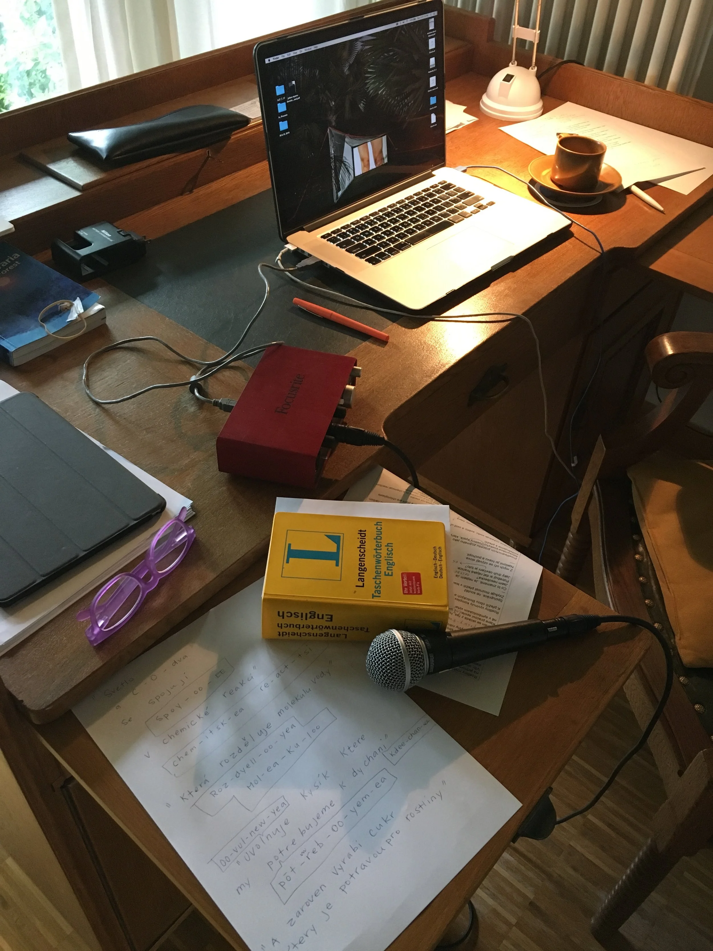 Studio now, Czech writing, German dictionary, SM58 and my laptop that I finally paid off just yesterday!