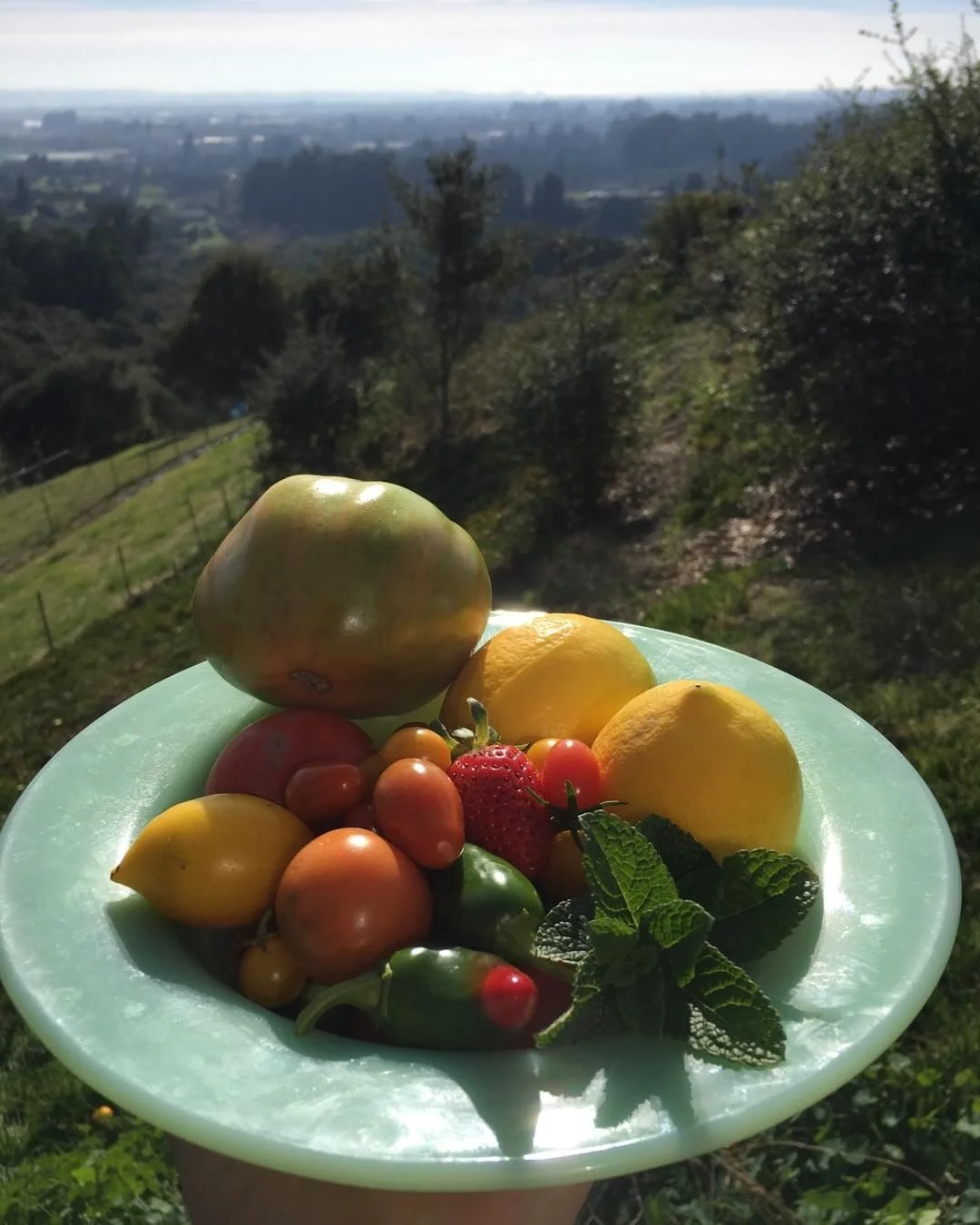 Wishing everyone a bountiful 2018!