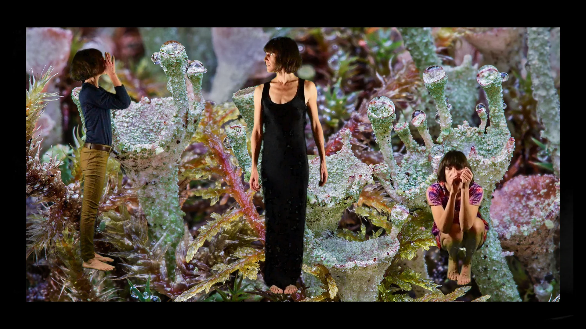 Stills from a coming of middle-age story, Lessons from the Forest Part 3, 2018