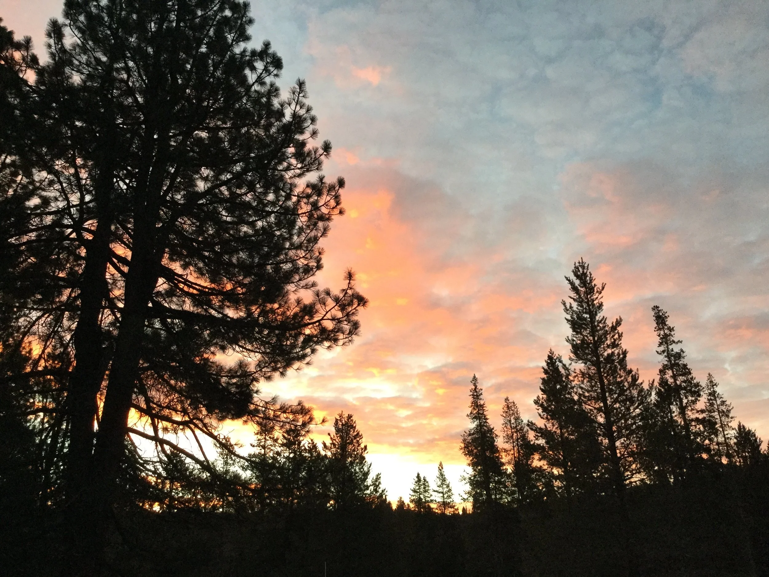 Sunrise at Sage Hen Field Station