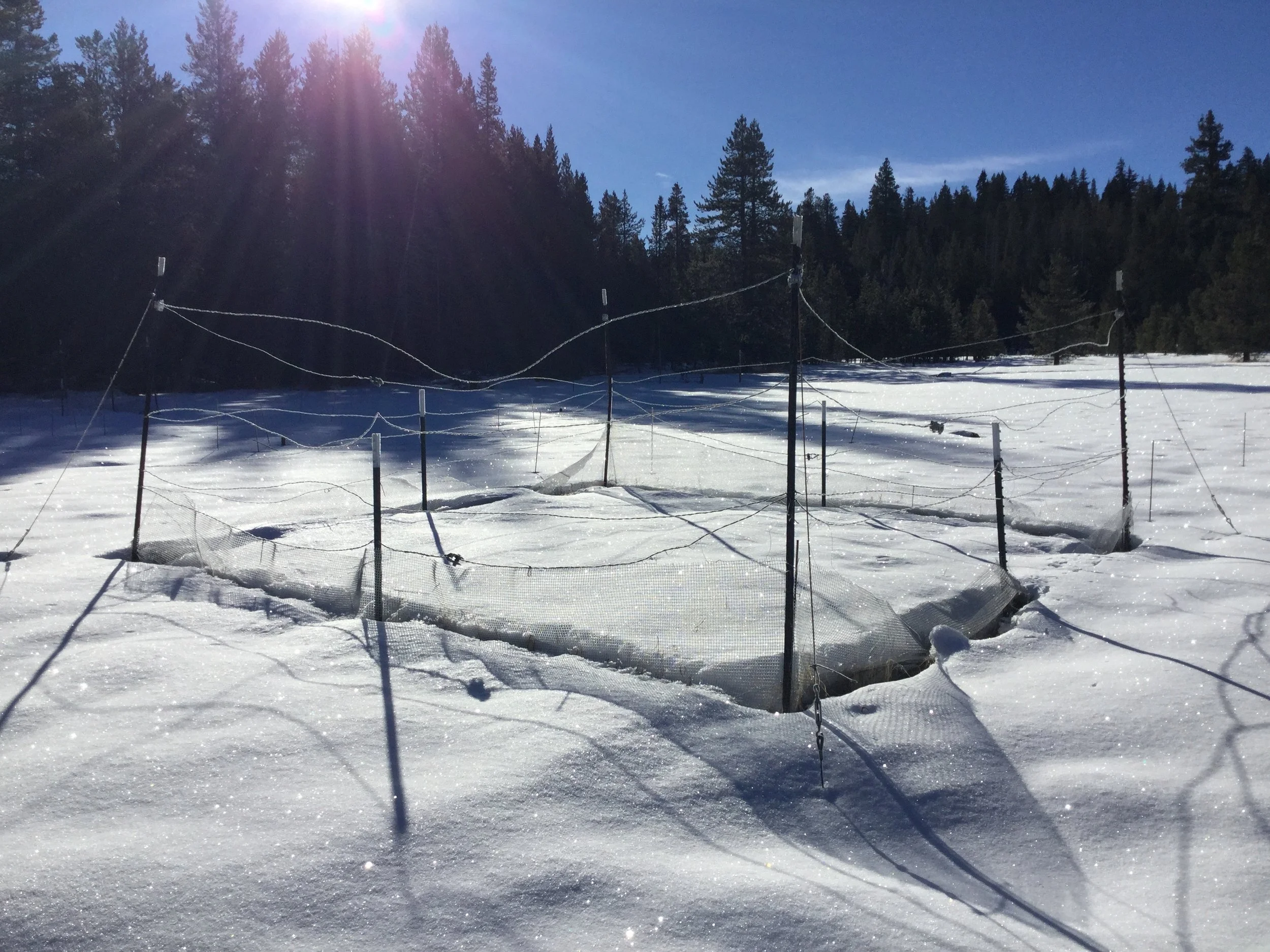Data collection sight, Sage Hen Field Station, 2019