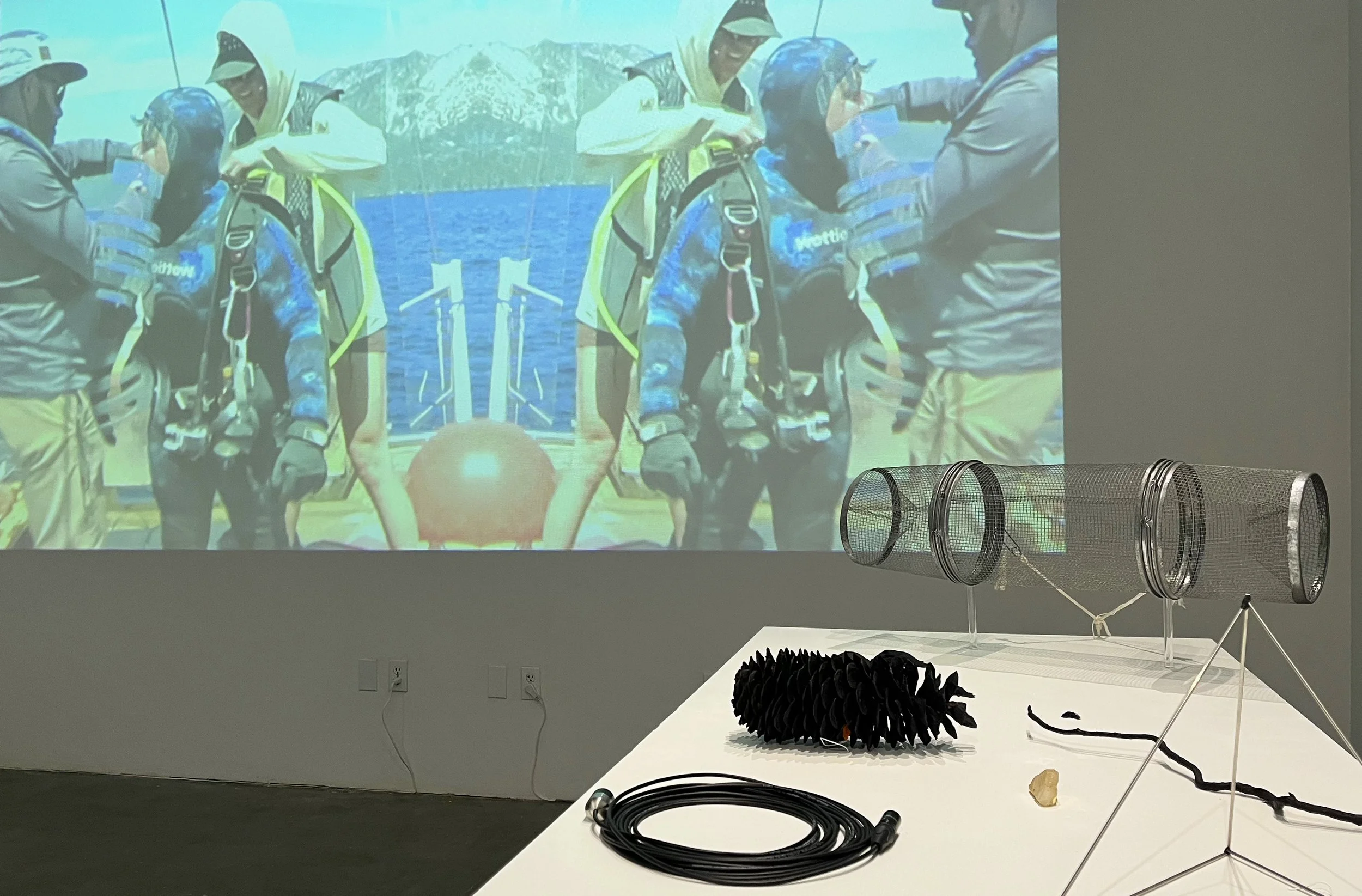 Tyler Calkin & Sasha Petrenko, Specimen Table and video, Watershed 2025.