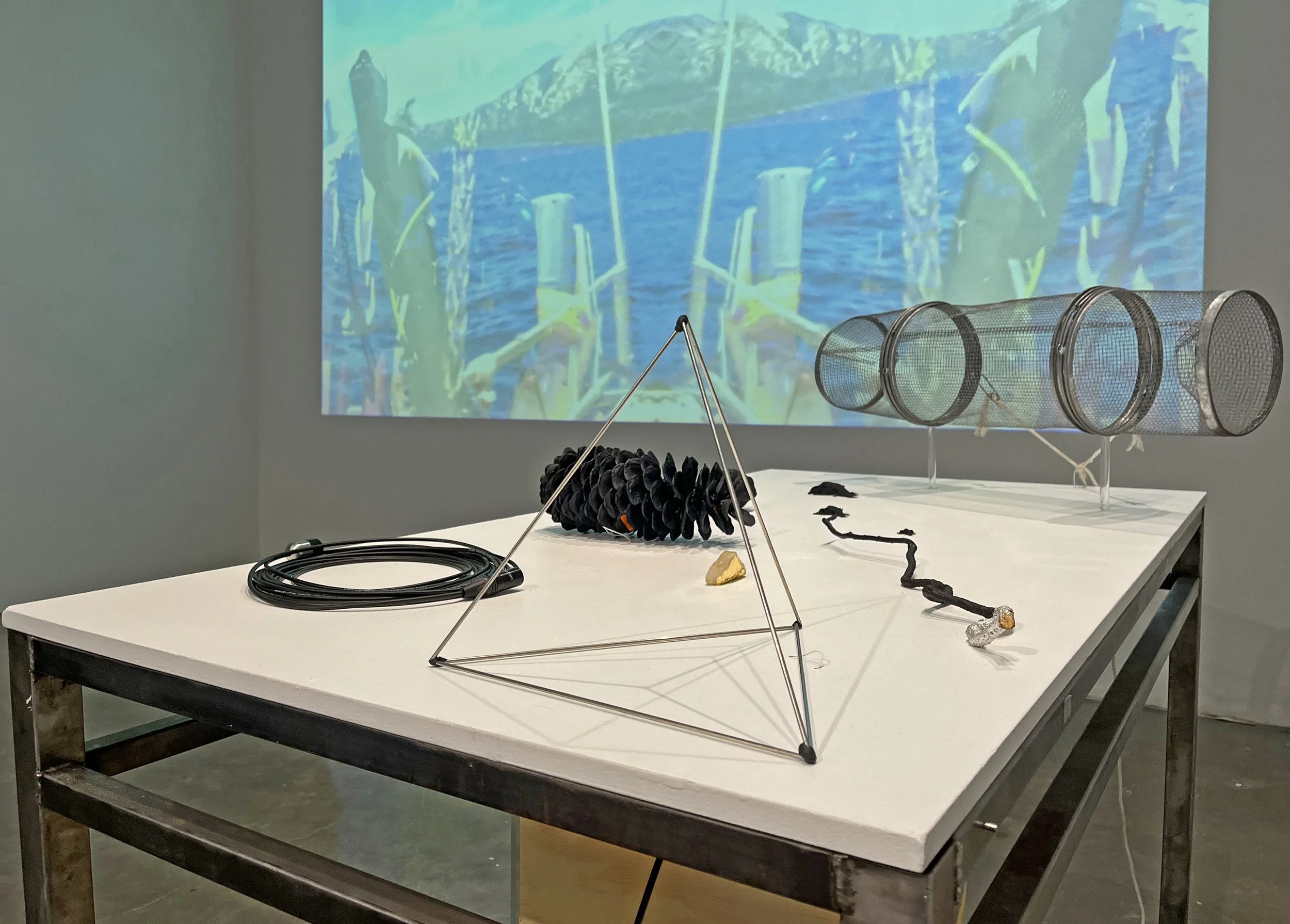 Tyler Calkin & Sasha Petrenko, Specimen Table and video, Watershed 2025.