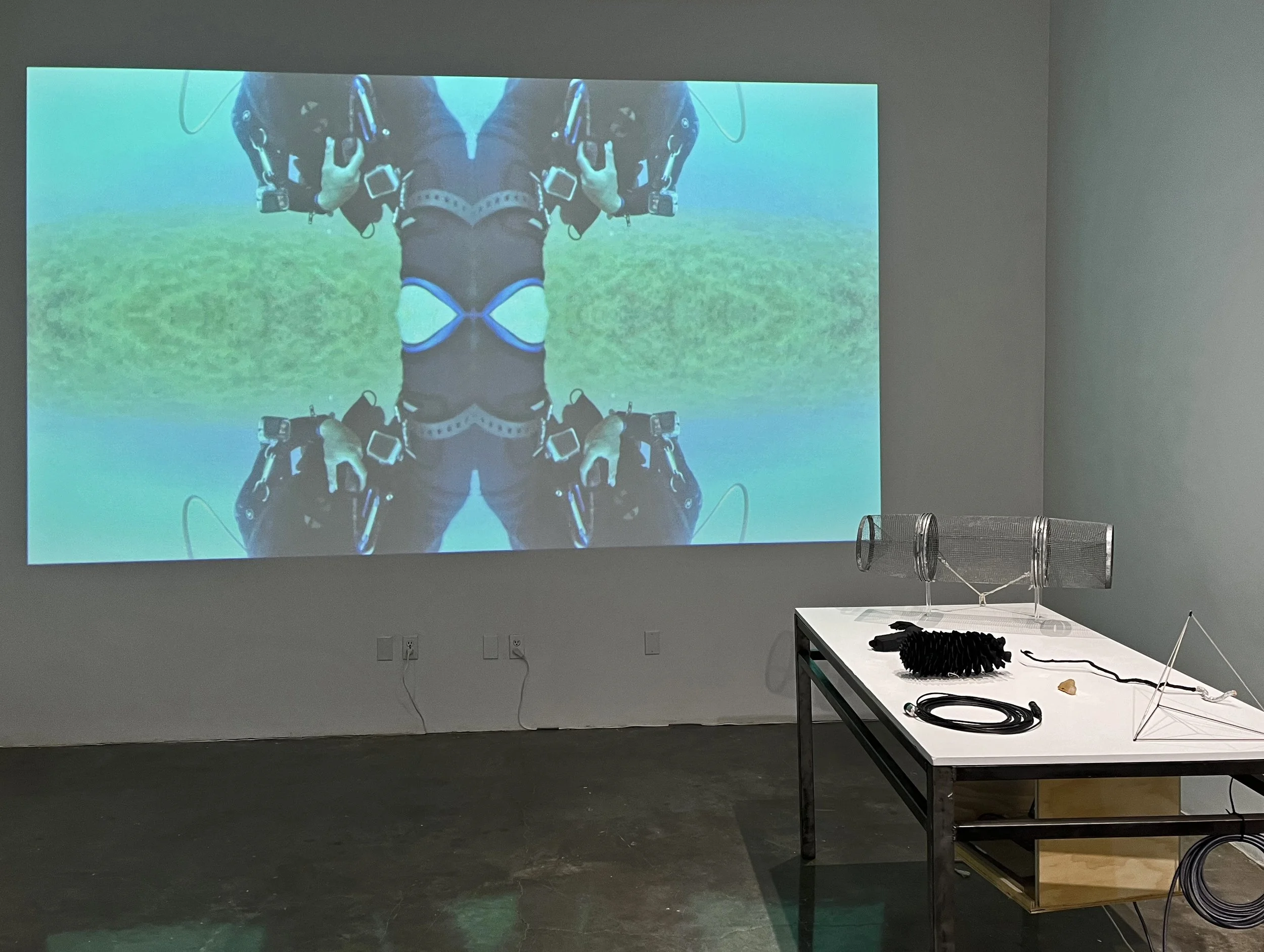 Sasha Petrenko & Tyler Calkin, Specimen Table and video, Watershed 2025. Visitors touch specimens to trigger videos via capacitive sensors and VJ software to live mix video. Underwater video for our Specimen Table was captured with GoPros and a 360