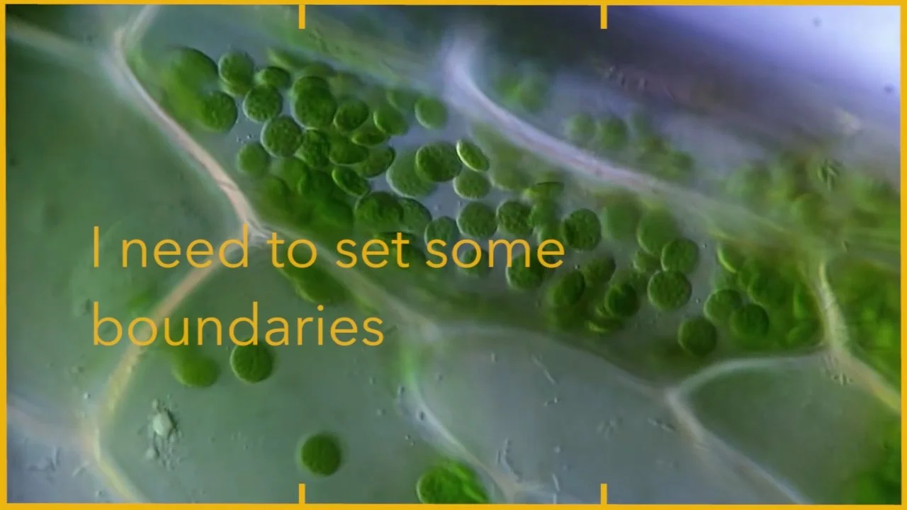 LFF3_TITLED.00_02_40_19.Still007 copy.jpg