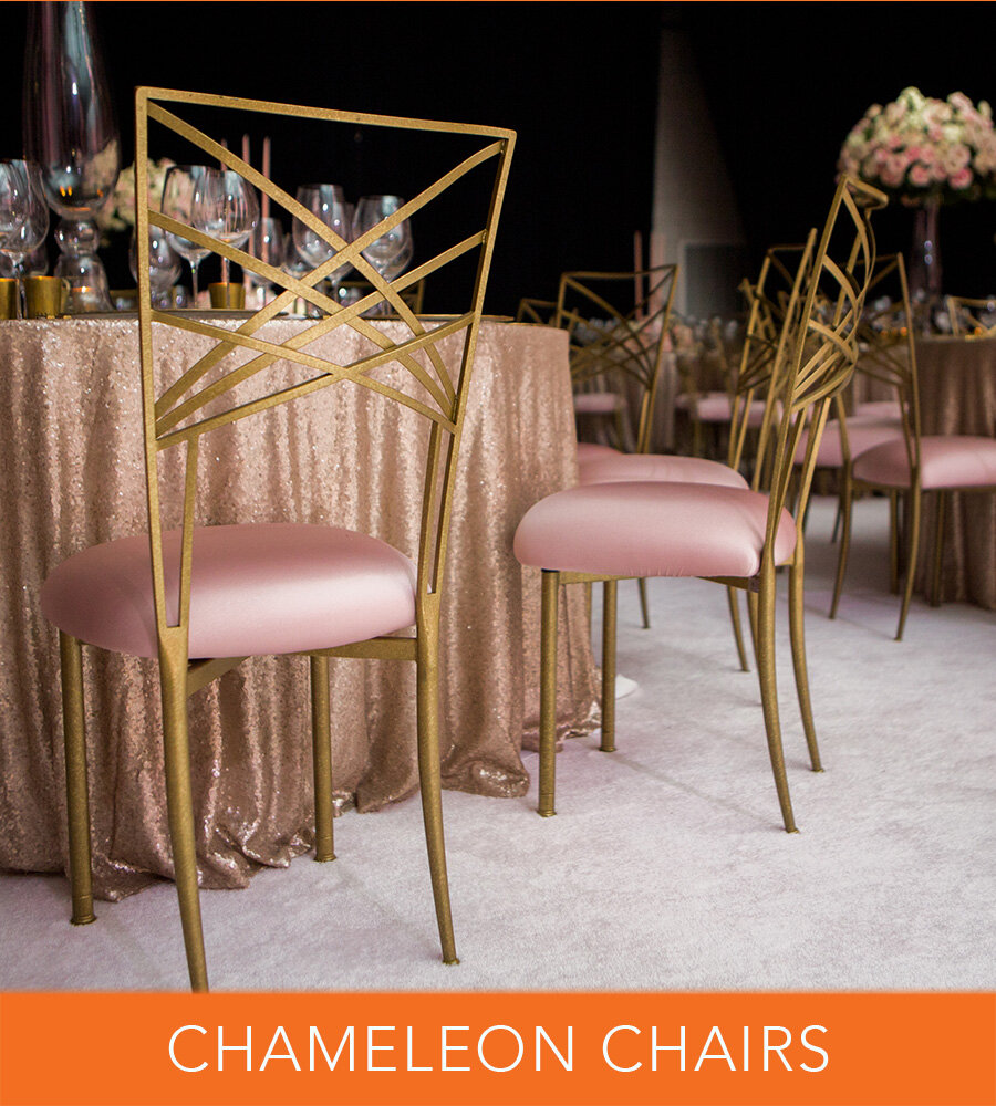 Chameleon Chairs