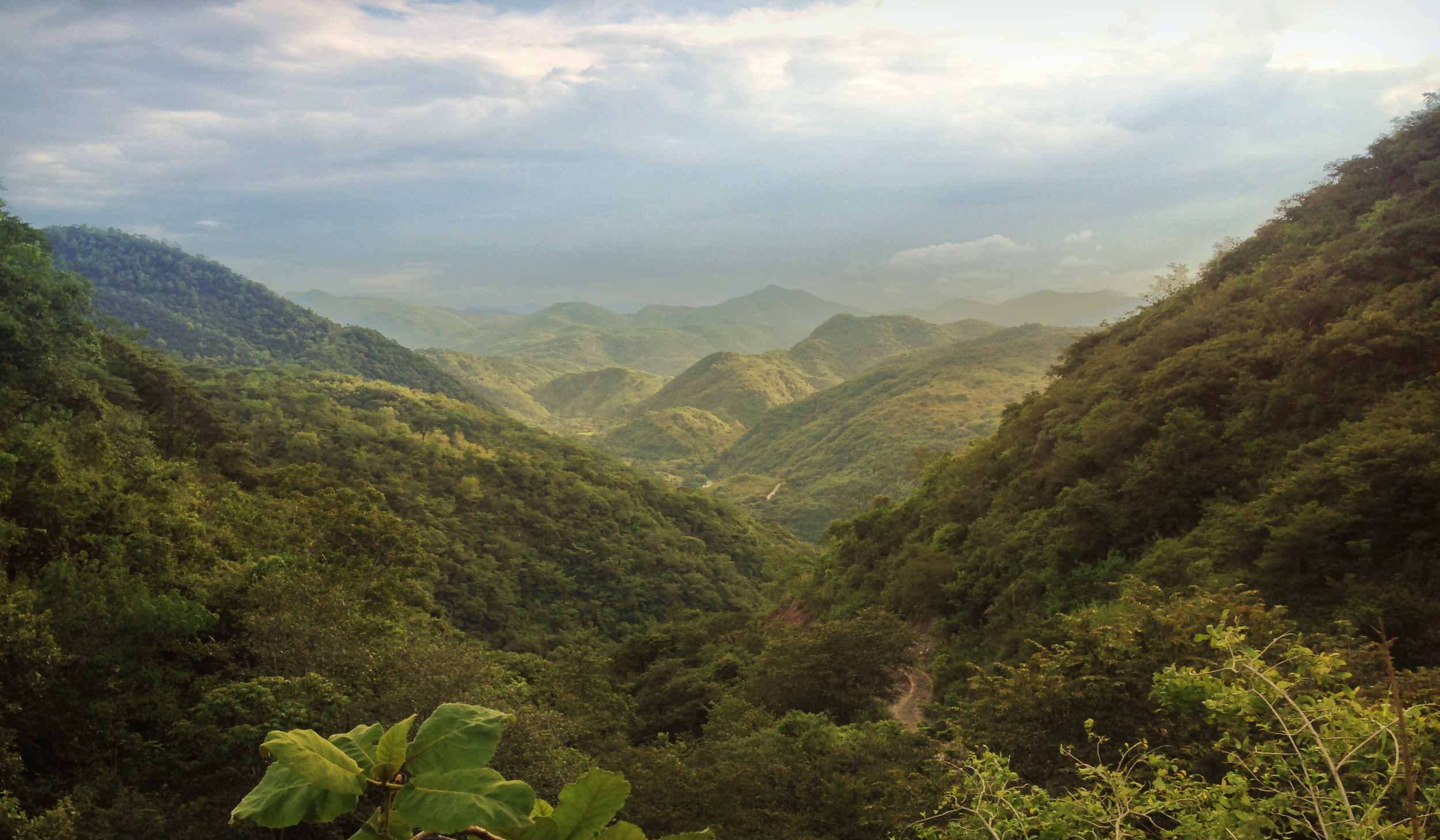 Joaquina lookout.jpg