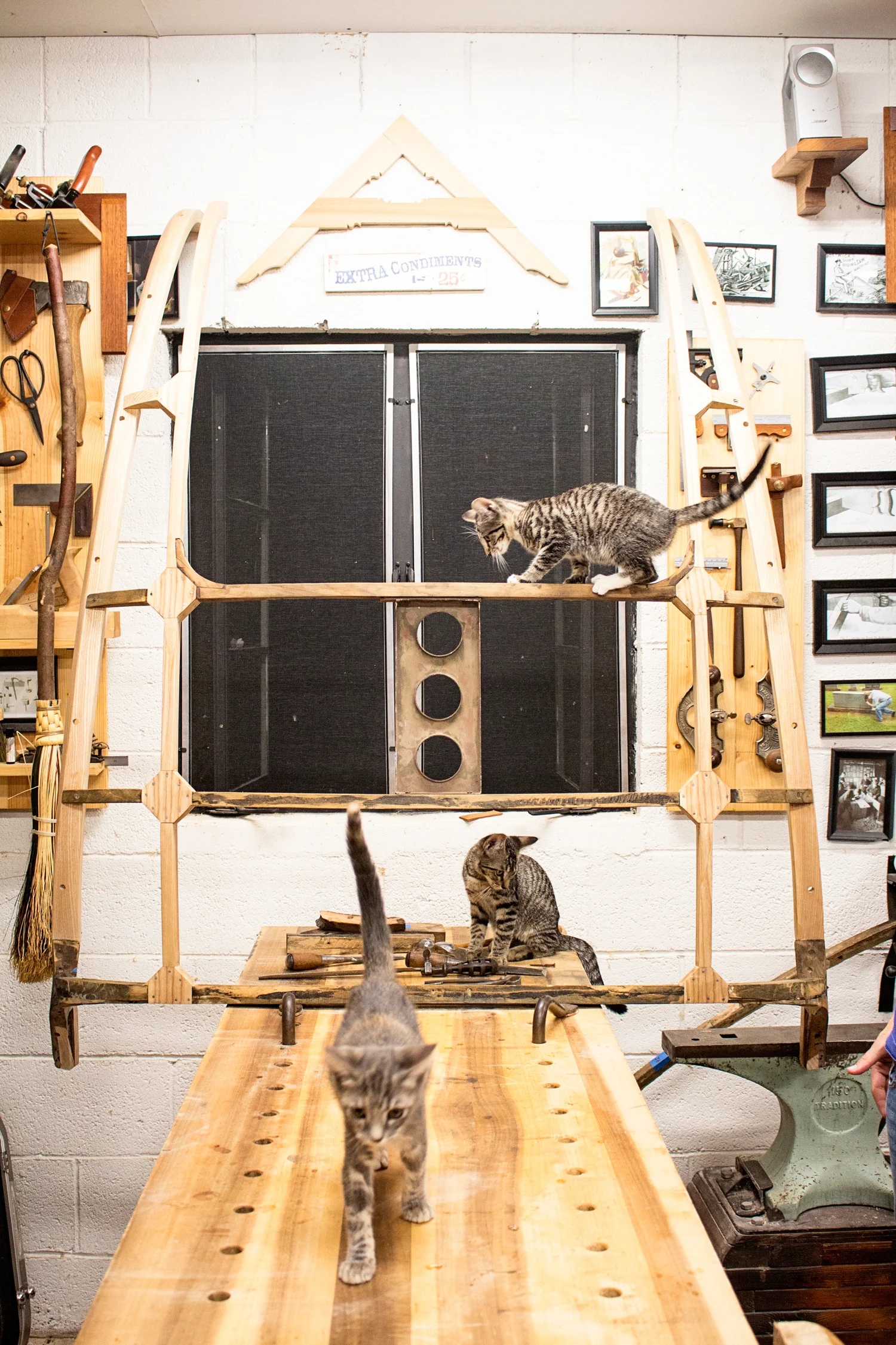 When I told the kittens that I was finishing up work on an old Jaguar, they insisted on checking it out. Pretty sure it wasn't what they were expecting! 