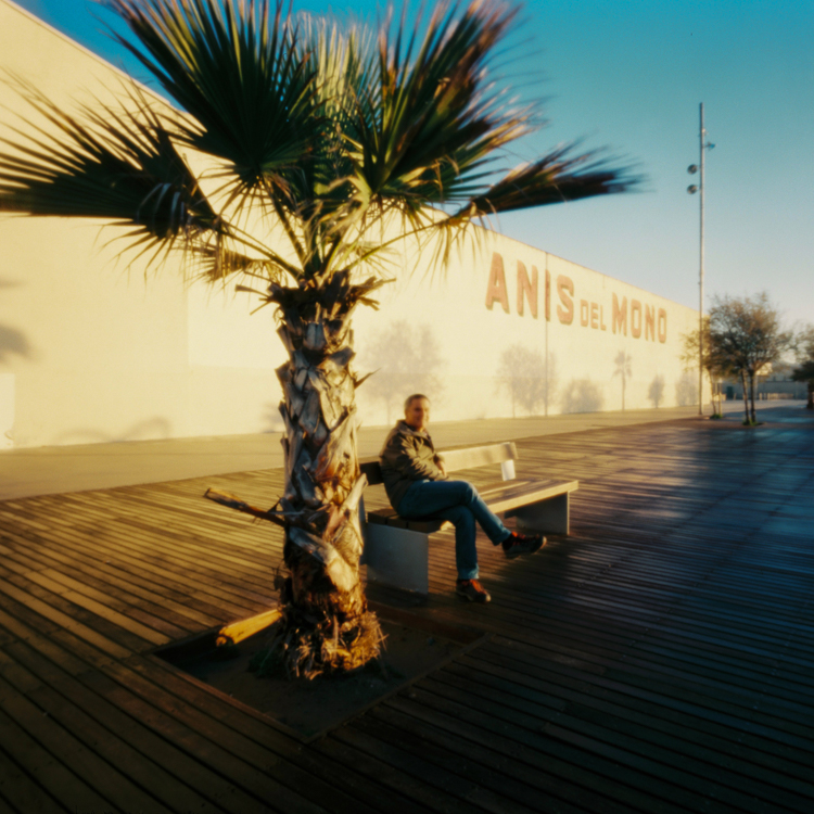 Jesus and the Anis