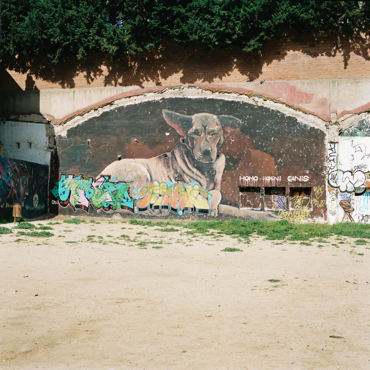 Made with a Fuji GF670 on Kodak Portra 400